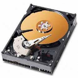 DISCO DURO WESTERN DIGITAL 250 GB 7200 RPM IDE 2MB