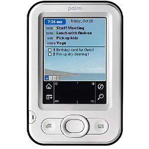 PALM ZIRE 22 CON DOS ESTUCHES FLEXIBLES