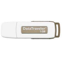 Memoria Flash USB 1GB Kingston