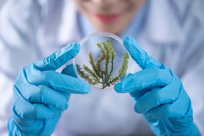 biomimetica-en-la-tecnologia