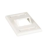 Placa de Pared Vertical Clásica, Salida Para 2 Puertos Mini-Com Inclinados, Con Espacios Para Etiquetas, Color Blanco Mate CFPSL2IWY