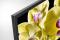 Sony XBR-75X800G TV 190.5 cm (75") 4K Ultra HD Smart TV Wifi Negro
