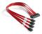 StarTech.com Cable 50cm SAS Serial Attached SCSI SFF 8484 a 4x SATA Serial ATA