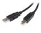 StarTech.com USB2HAB3M cable USB 3 m USB 2.0 USB A USB B Negro