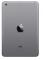 Apple iPad mini 2 128GB Gris