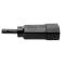 Tripp Lite P004-006-13A Cable de Alimentación para PDU, C13 a C14 - 13A, 250V, 16 AWG, 1.83 m [6 pi