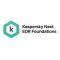 Kaspersky Next EDR Foundations  Plus 150-249 Lic 1 Año C/U KL4065ZASF8 - 