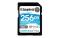 Kingston Technology Canvas Go! Plus 256 GB SD UHS-I Clase 10