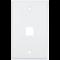 Placa de Pared (Face Plate) / 1 Puerto / Color Blanco / Caja con 20 Piezas / ABS DS-1FPA1-A