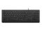 Teclado Lenovo con cable Essential (Negro) - LA Español 171 4Y41R64657 - 
