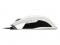 Razer Taipan