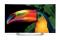 LG 55EG9100 55" Full HD Compatibilidad 3D Smart TV Wifi Negro, Plata televisor LED