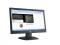 HP V222 21.5" Full HD TN Matt