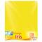 CARTULINA EUROMAC IRIS AMARILLO 50X65CM C/10 EI0035