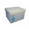 CAJA GEO ARCHIVO PLASTICA CARTA 026 CAJA GEO PLASTICA
