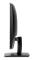 HP ProDisplay P202va 19.53" Full HD VA Matt Negro pantalla para PC