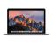 Apple MacBook 1.2GHz 12" 2304 x 1440Pixeles Gris Portátil