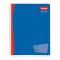 CUADERNO PROF ESCOLAR SCRIBE C7 100 HJS C/36 7973