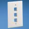 Panduit NK3FNIW placa de pared y cubierta de interruptor Blanco