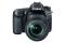 Canon EOS 80D + EF-S 18-135 IS USM Juego de cámara SLR 24.2 MP CMOS 6000 x 4000 Pixeles Negro