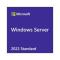 OEM WINDOWS SERVER STANDARD 2022 64 BITS SPANISH 1 PK DSP OEI DVD HASTA 16 CORE P73-08338