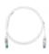 Belden Cable Patch Cat6+ UTP RJ-45 Macho - RJ-45 Macho, 2.1 Metros, Gris