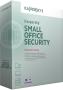 Kaspersky Lab Small Office Security 4 15-19 1 1 Año(s) Español
