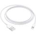 CABLE LIGHTNING A USB (1 M) . MXLY2AM/A