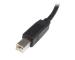 StarTech.com USB2HAB3M cable USB 3 m USB 2.0 USB A USB B Negro