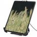 StarTech.com Soporte de Seguridad para Tablet - Base Antirrobo con Cable y Seguro K-Slot para Tablet