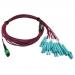Tripp Lite N846D-03M-16EMG Cable Multiconector de Fibra Óptica OM4 Multimodo 50µm / 125µm OM4, MT