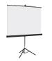 Pantalla de Proyección Portátil de Tripié MULTIMEDIA SCREEN MST-216 - 2.16x2.16m. / 120 pulgadas 