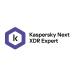 Kaspersky Next EDR Expert  250-499 Lic 1 Año C/U KL4069ZATFS - 
