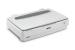 Epson Expression 13000XL Escáner de cama plana 2400 x 4800 DPI A3 Blanco