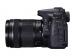 Canon EOS 70D + EF-S 18-135mm