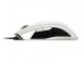 Razer Taipan