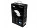 Razer Taipan