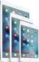Apple iPad Pro 256GB 3G 4G Plata