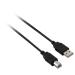 V7 4.8m USB 2.0 A-B M/M 4.8m USB A USB B Negro cable USB