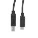 StarTech.com USB2CB3M 3m USB C USB B Negro cable USB