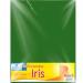 CARTULINA EUROMAC IRIS VDE BANDERA 50X65 C/10 EI0045