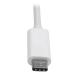 Tripp Lite Adaptador USB 3.1 Gen 1 USB-C a DisplayPort 4K (M/H), Compatible con Thunderbolt 3, 4K @ 