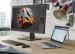 HP EliteDisplay E202 monitor 50.8 cm (20") HD+ LED Plana Negro, Plata