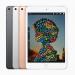 Apple iPad mini A12 64 GB Gris