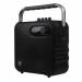 BOCINAS KAREOKE VORAGO BLUETOOTH, FM, MICROFONO