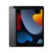 IPAD 9A GENERACION 10.2 PULG WI-FI MAS CELULAR 64GB GRIS ESPACIAL MK473LZ/A