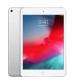 IPAD MINI CON WI-FI MAS CELLULA 256Â GB PLATA MUXD2LZ/A
