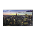 Pantalla Profesional LED de 55\", UHD 4K (3840x2160p), Entradas de Video HDMI/DVI-D/DisplayPort QM-55H