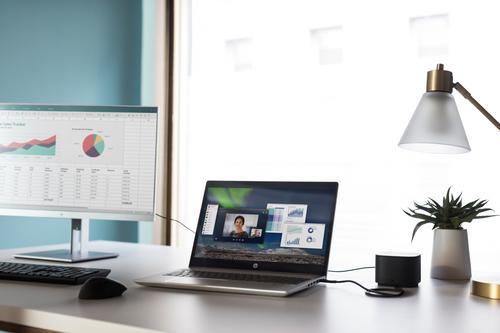 HP ProBook 445 G6 Notebook PC