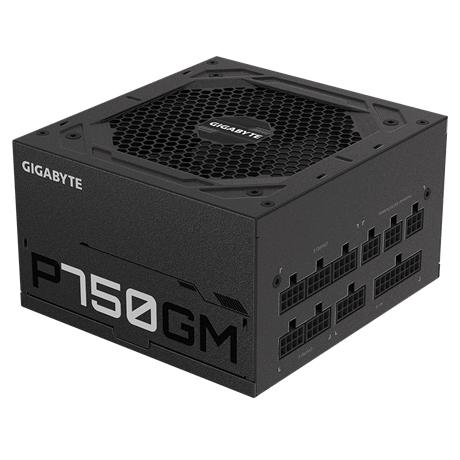 Gigabyte P750GM unidad de fuente de alimentación 750 W 20+4 pin ATX ATX Negro